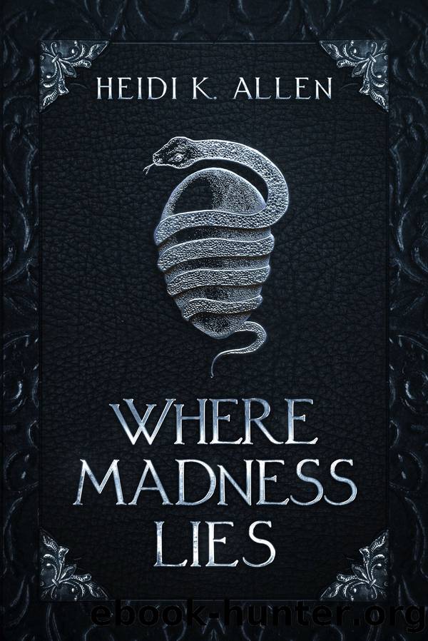 Where Madness Lies by Heidi K. Allen