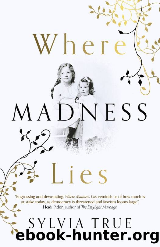Where Madness Lies by Sylvia True