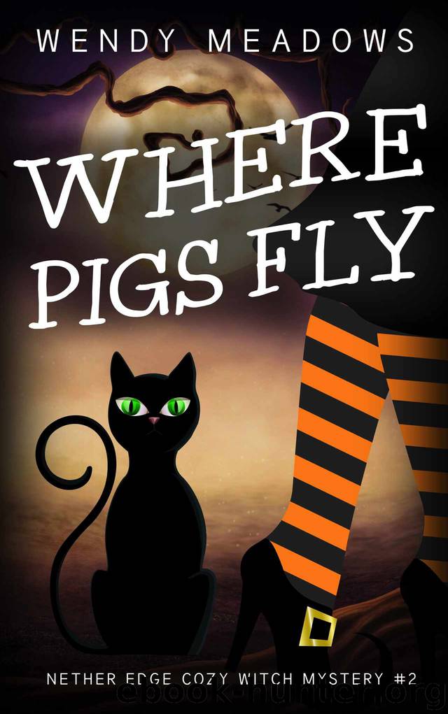 Where Pigs Fly (Nether Edge Cozy Witch Mystery Book 2) by Wendy Meadows
