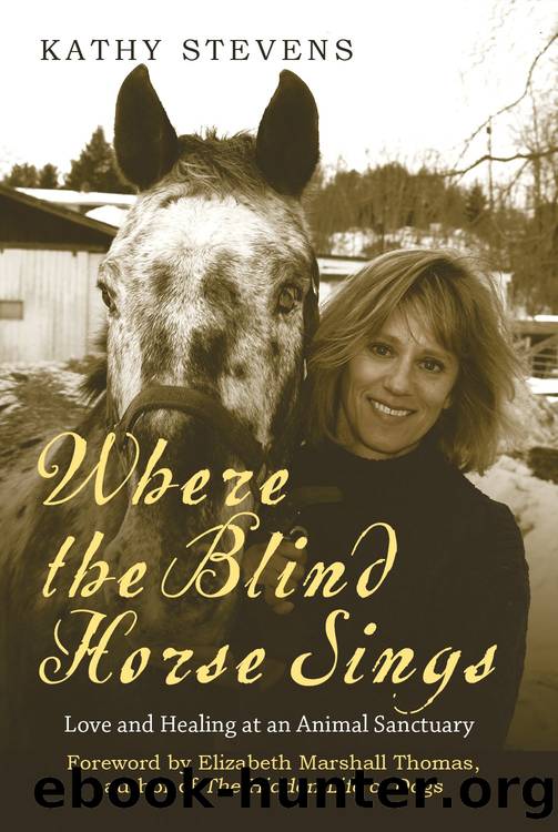 Where The Blind Horse Sings by Kathy Stevens