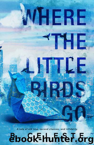 Where The Little Birds Go by Celeste B