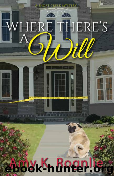 Where There's a Will by Amy K Rognlie