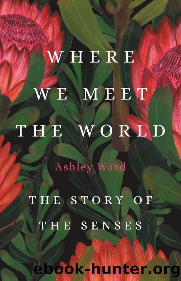 Where We Meet the World by Ashley Ward