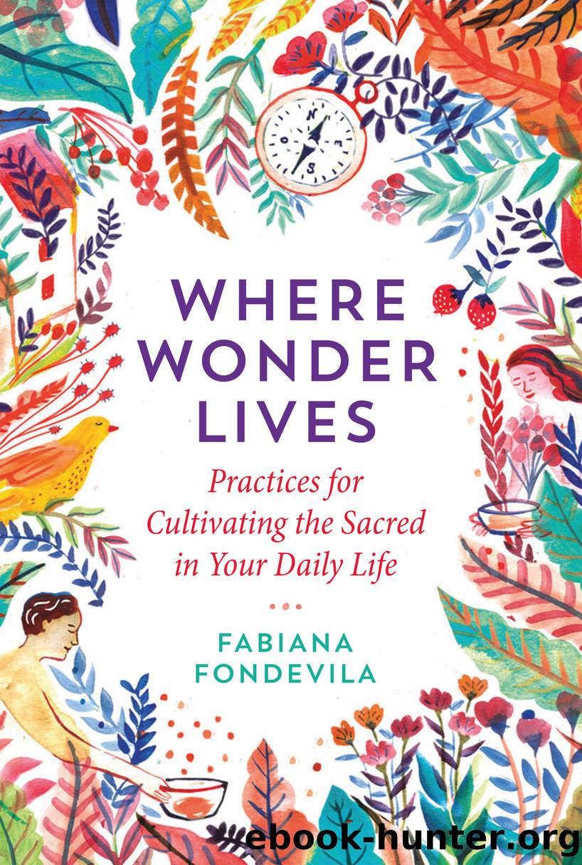 Where Wonder Lives by Fabiana Fondevila