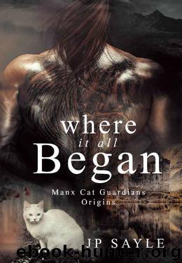 Where it all Began by J P Sayle
