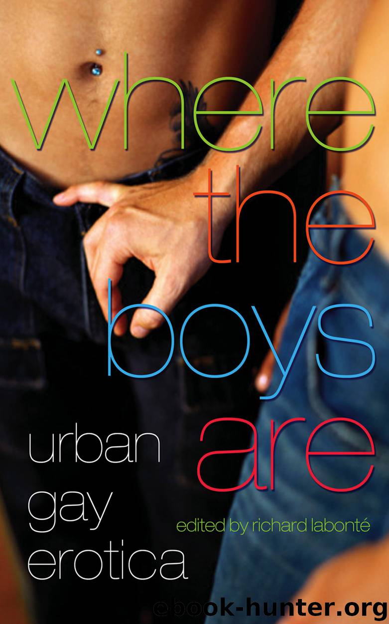 Where the Boys Are by Richard Labonté