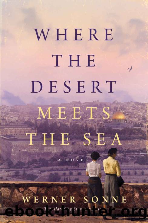 Where the Desert Meets the Sea: A Novel by Werner Sonne
