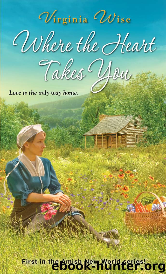 Where the Heart Takes You by Virginia Wise