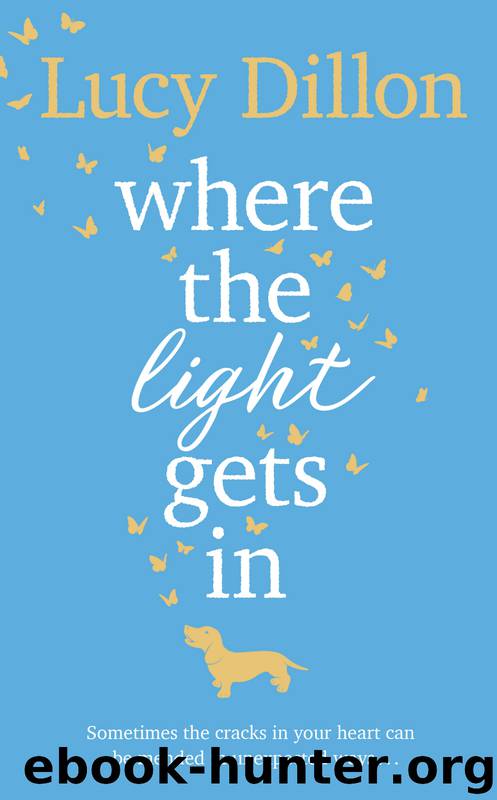 Where the Light Gets In by Lucy Dillon