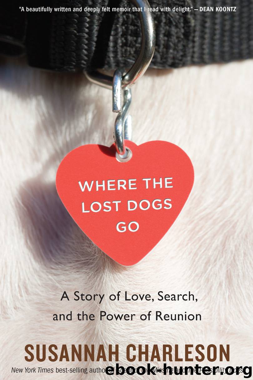 Where the Lost Dogs Go by Susannah Charleson