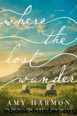 Where the Lost Wander: A Novel by Amy Harmon