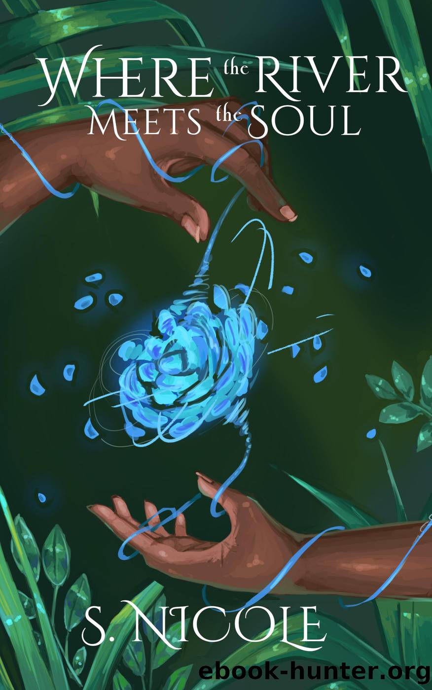 Where the River Meets the Soul by S. Nicole