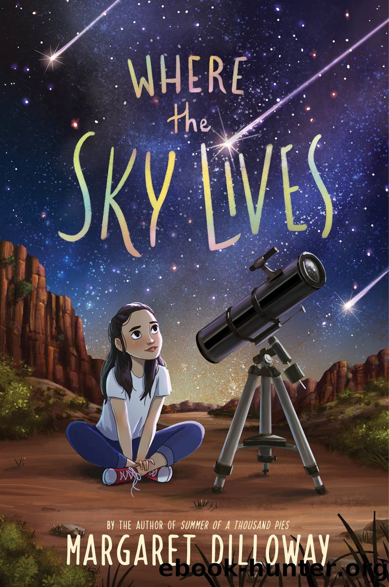Where the Sky Lives by Margaret Dilloway