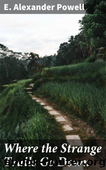 Where the Strange Trails Go Down by E. Alexander (Edward Alexander) Powell