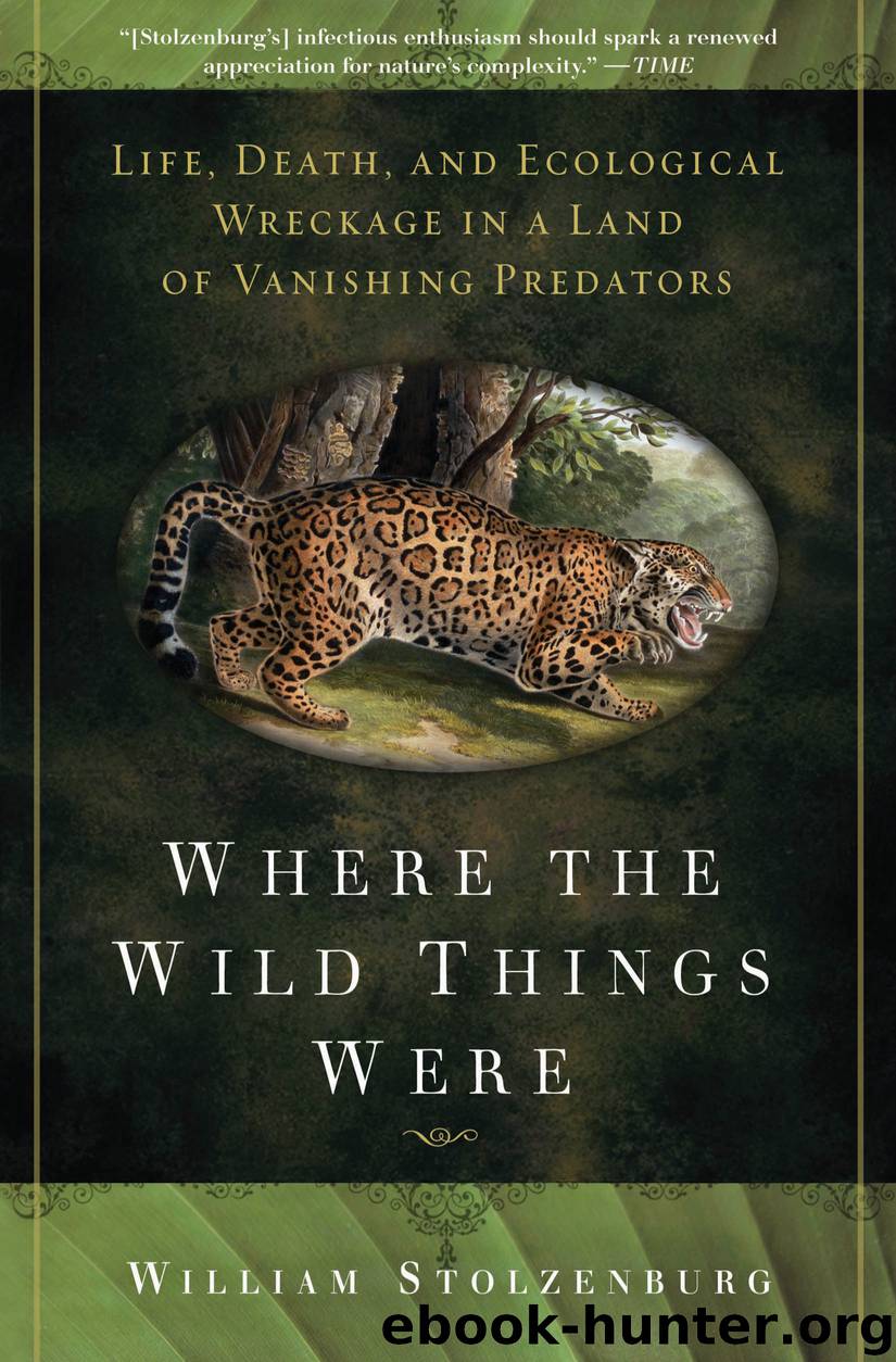 Where the Wild Things Were by William Stolzenburg