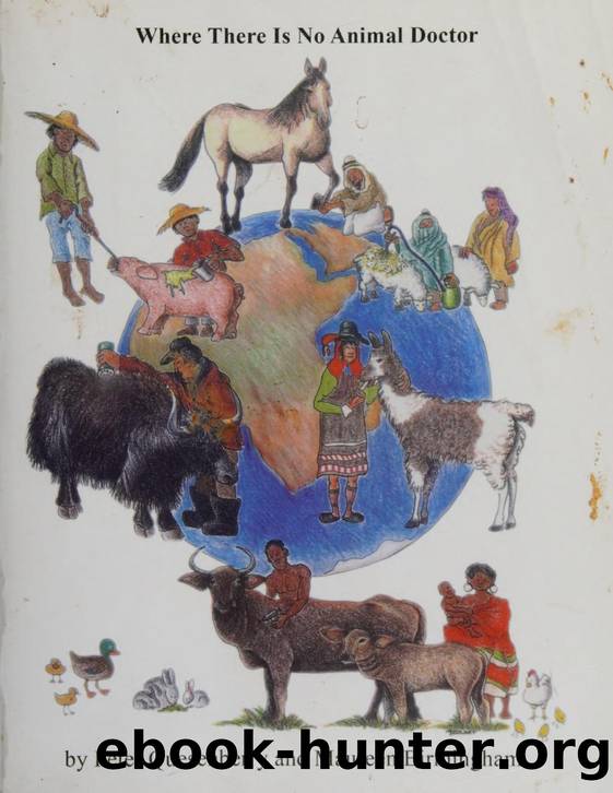 Where there is no animal doctor by Birmingham Maureen