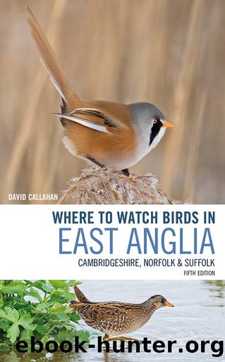 Where to Watch Birds in East Anglia by David Callahan