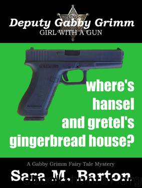 Where's Hansel and Gretel's Gingerbread House?: A Gabby Grimm Fairy Tale Mystery #2 by Barton Sara M