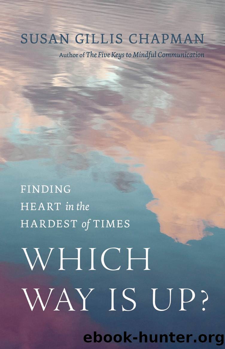 Which Way Is Up? by Susan Gillis Chapman