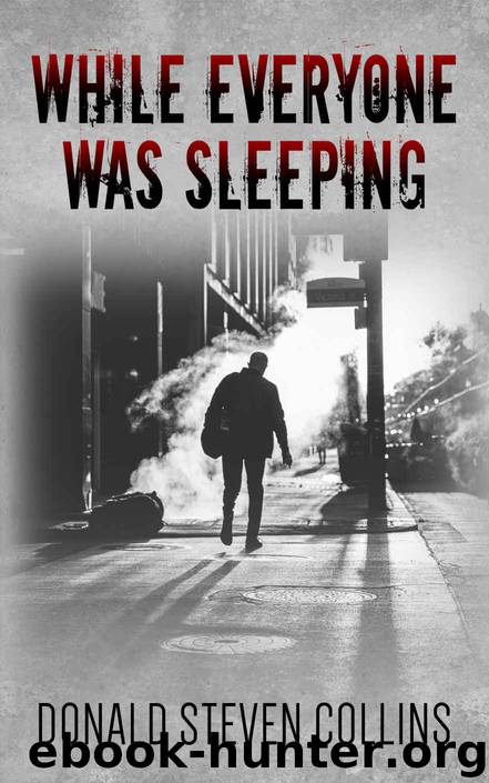 While Everyone Was Sleeping by Donald Collins