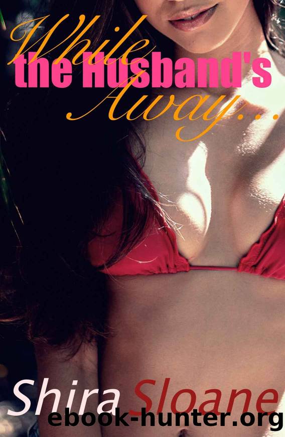 While The Husband's Away... (Affairs & Cheaters Book 3) by Shira Sloane