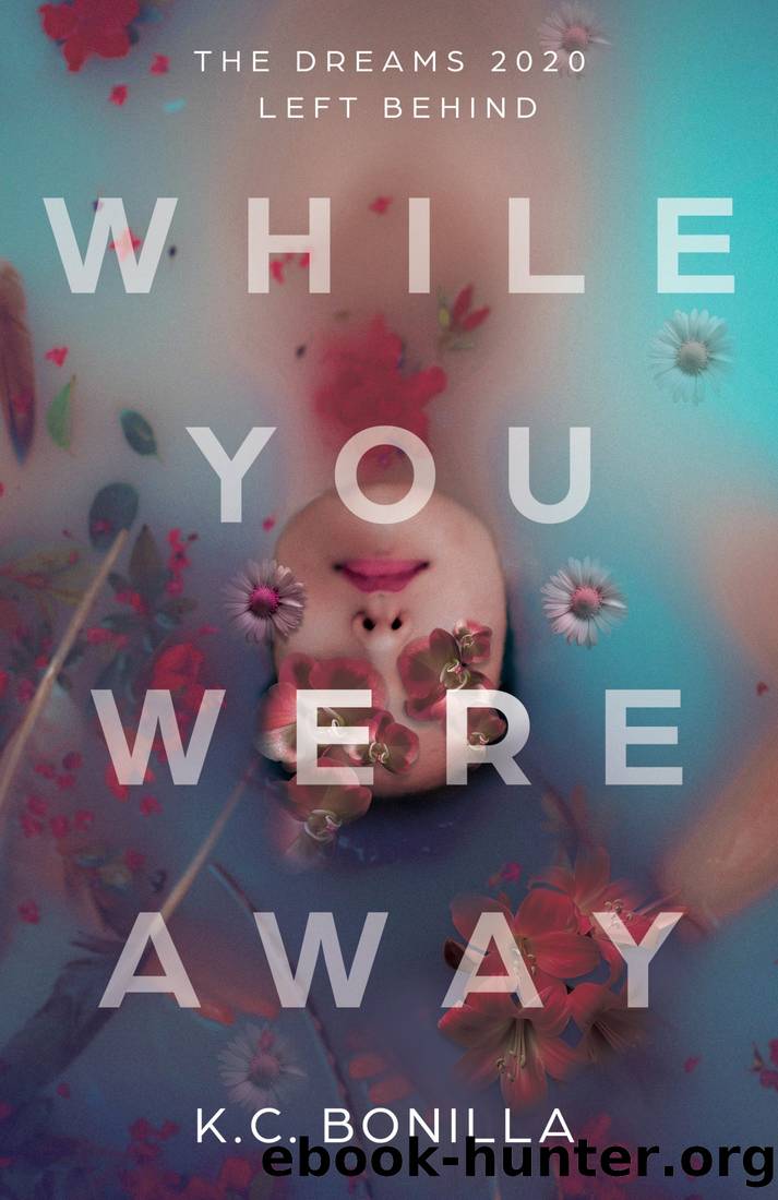 While You Were Away by K.C. Bonilla