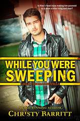 While You Were Sweeping by Christy Barritt