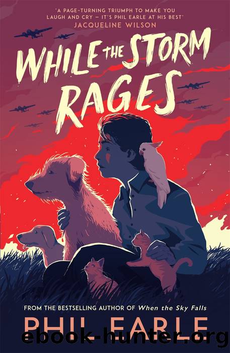 While the Storm Rages by Phil Earle