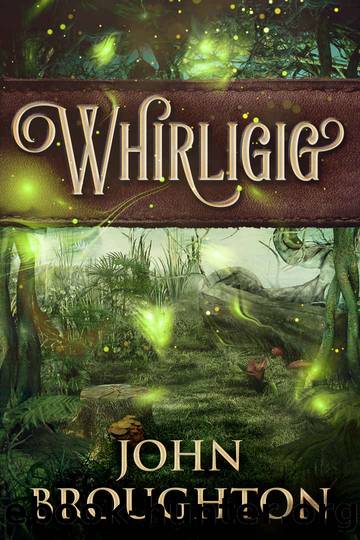 Whirligig by John Broughton