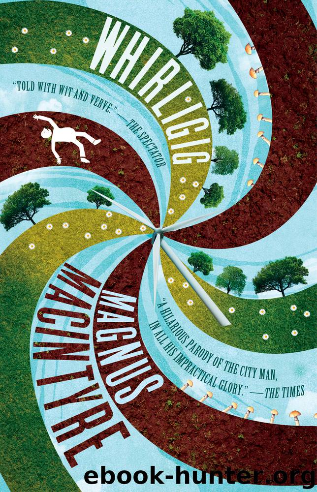 Whirligig by Magnus Macintyre