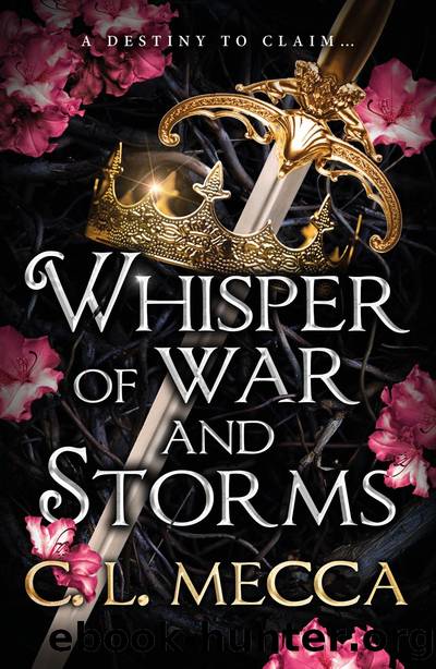 Whisper of War and Storms by C. L. Mecca