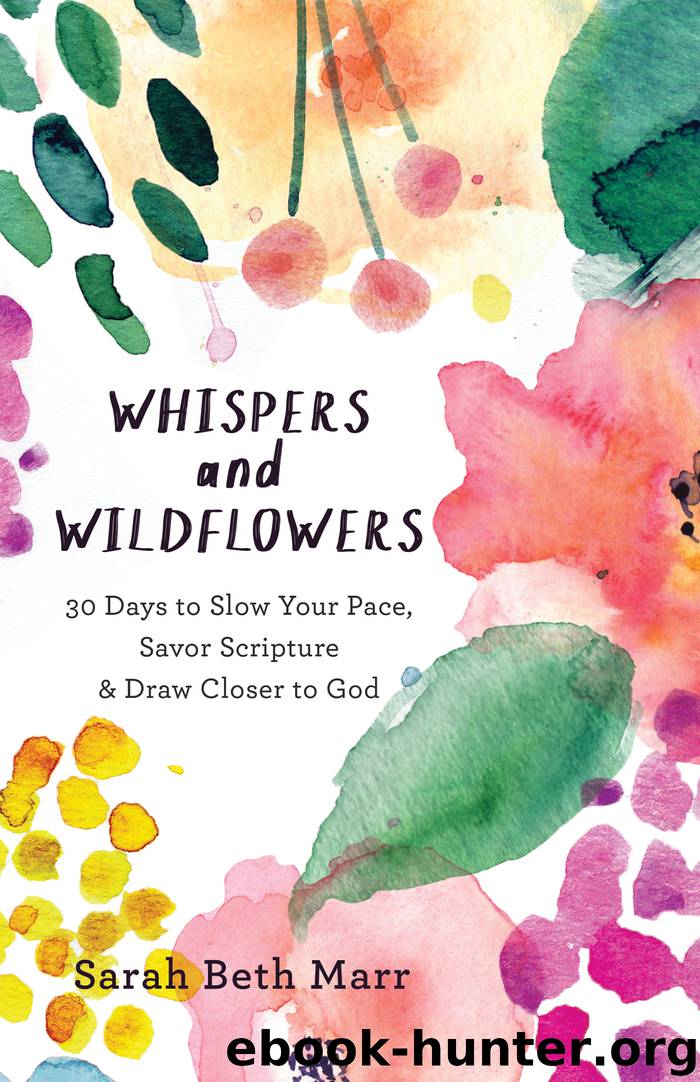 Whispers and Wildflowers by Sarah Beth Marr