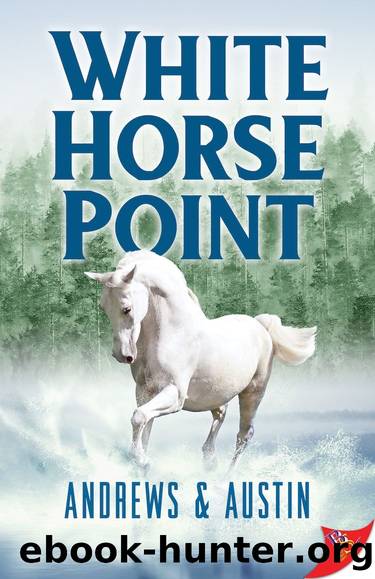 White Horse Point by Jean Andrews