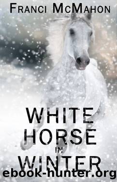 White Horse in Winter by Franci McMahon