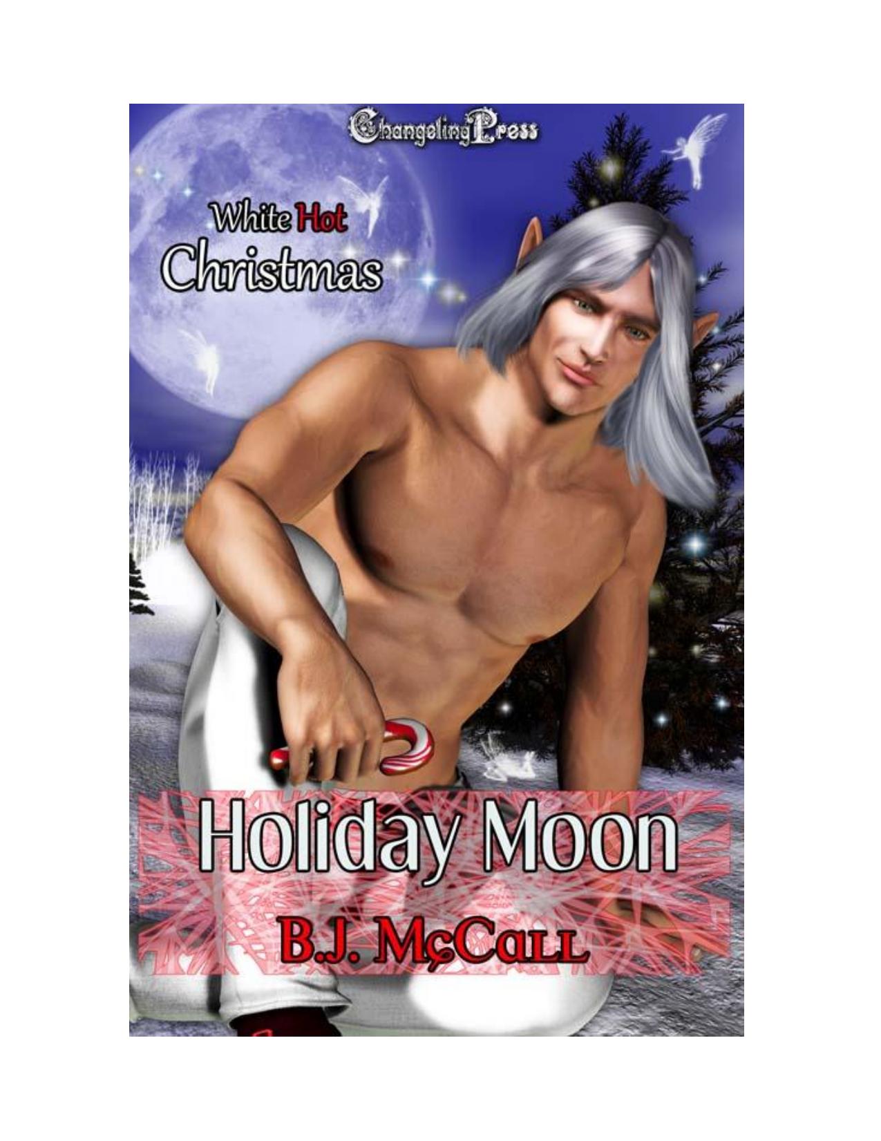 White Hot Christmas Holiday Moon by B. J. McCall