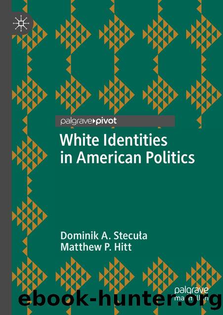 White Identities in American Politics by Dominik A. Stecuła · Matthew P. Hitt