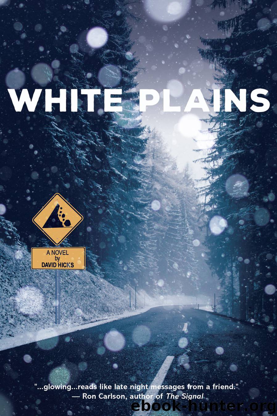 White Plains by David Hicks