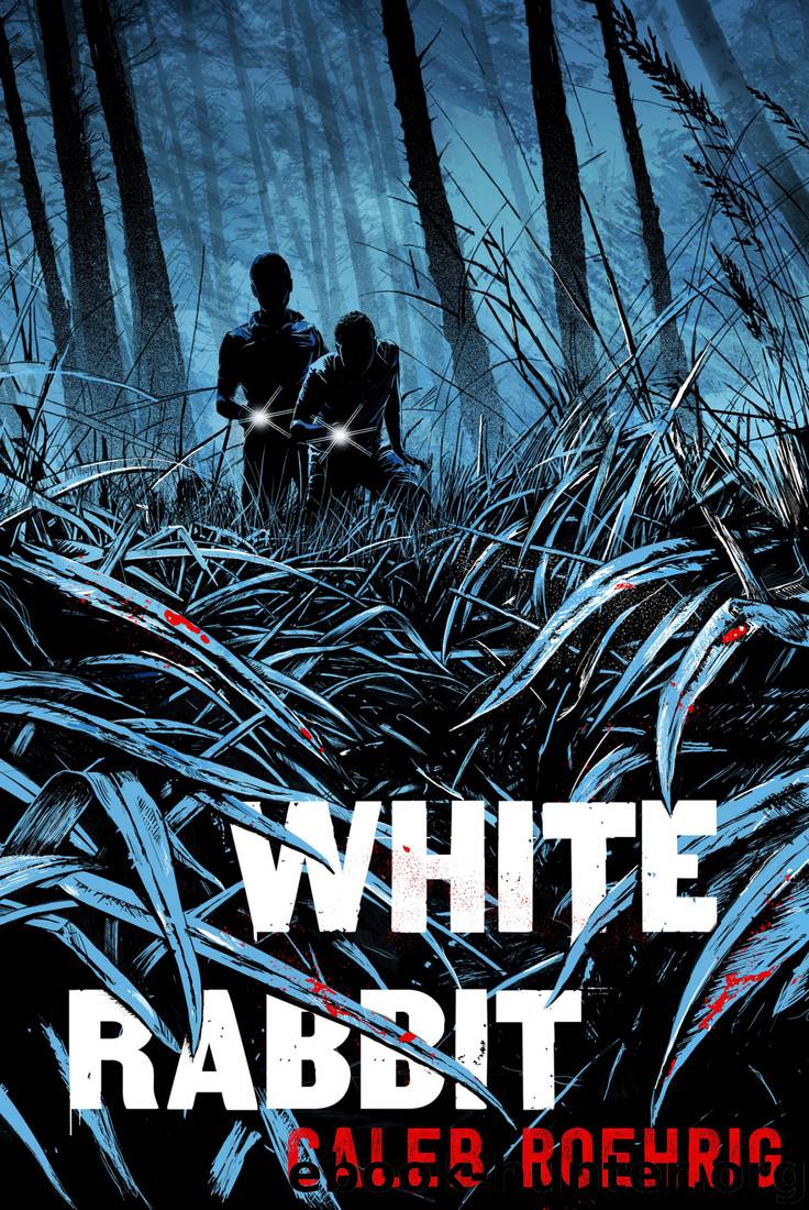 White Rabbit by Caleb Roehrig