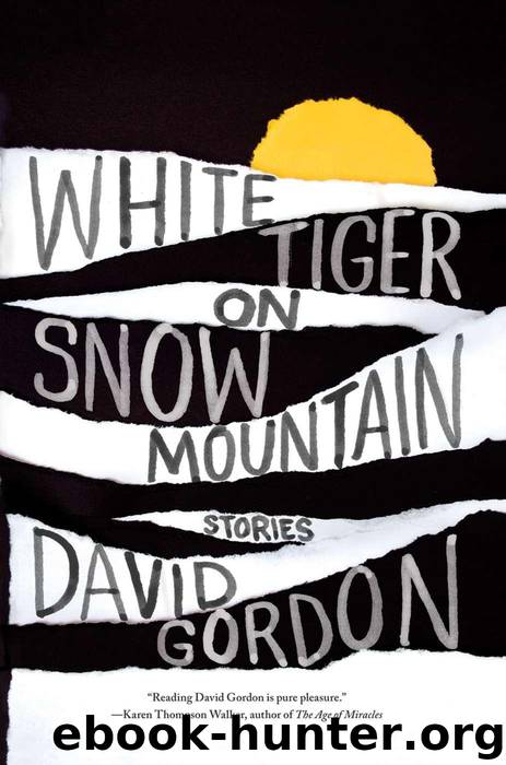 White Tiger on Snow Mountain by David Gordon