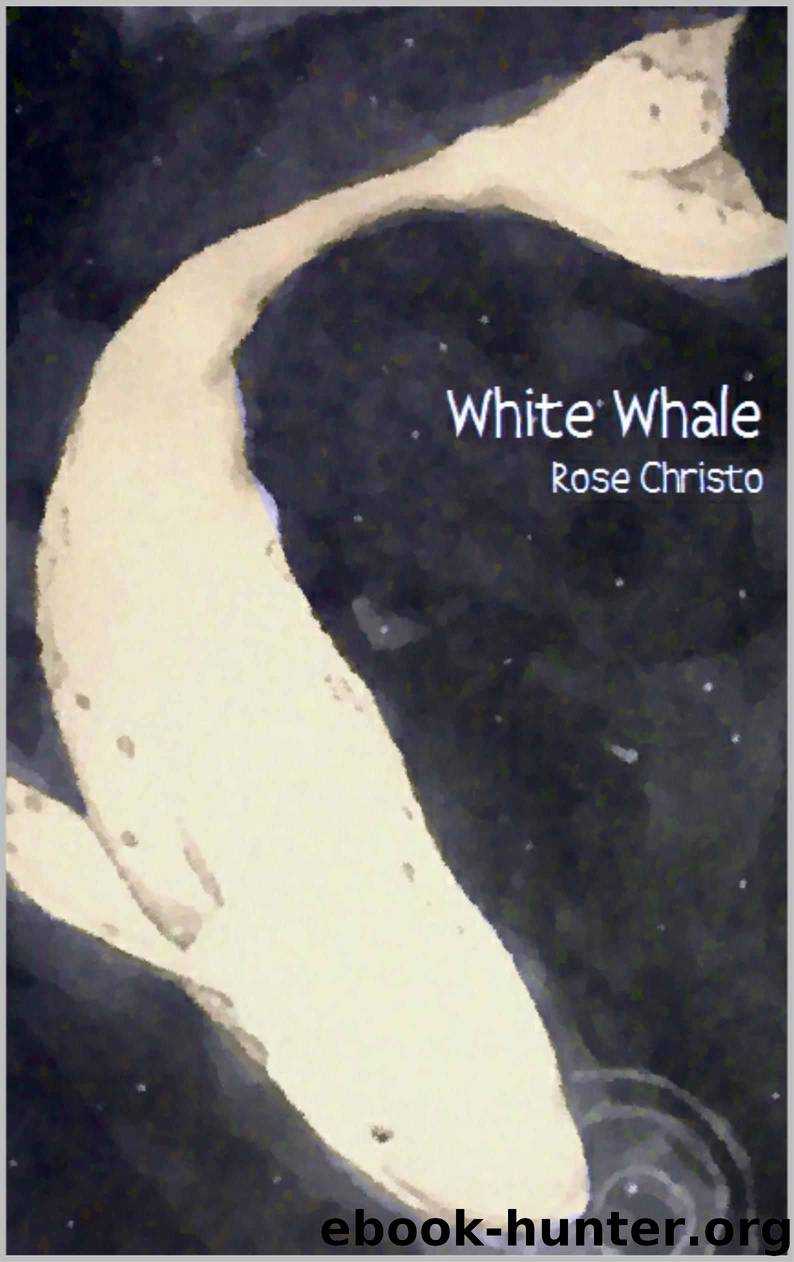 White Whale by Christo Rose