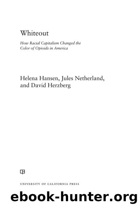 Whiteout by Helena Hansen