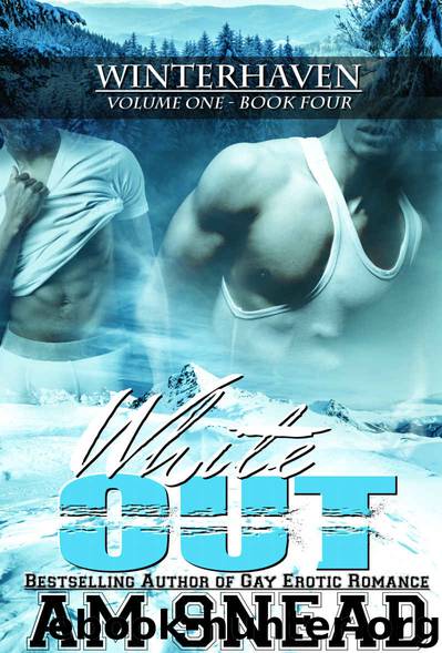 Whiteout: Winterhaven series (VOL 1 - BK 4) by Snead A.M