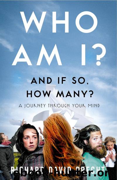 Who Am I and If So How Many? by Richard David Precht