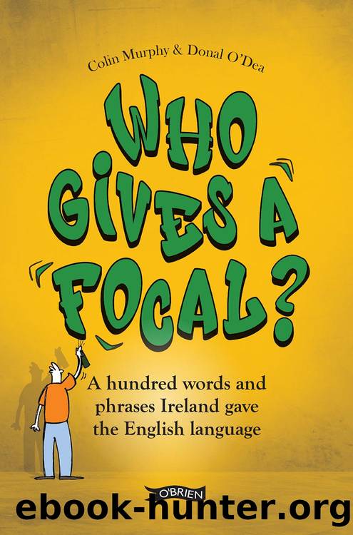 Who Gives a Focal?: A hundred words and phrases Ireland gave the English language by Colin Murphy and Donal O’Dea