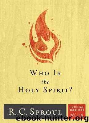 Who Is the Holy Spirit? by R. C. Sproul