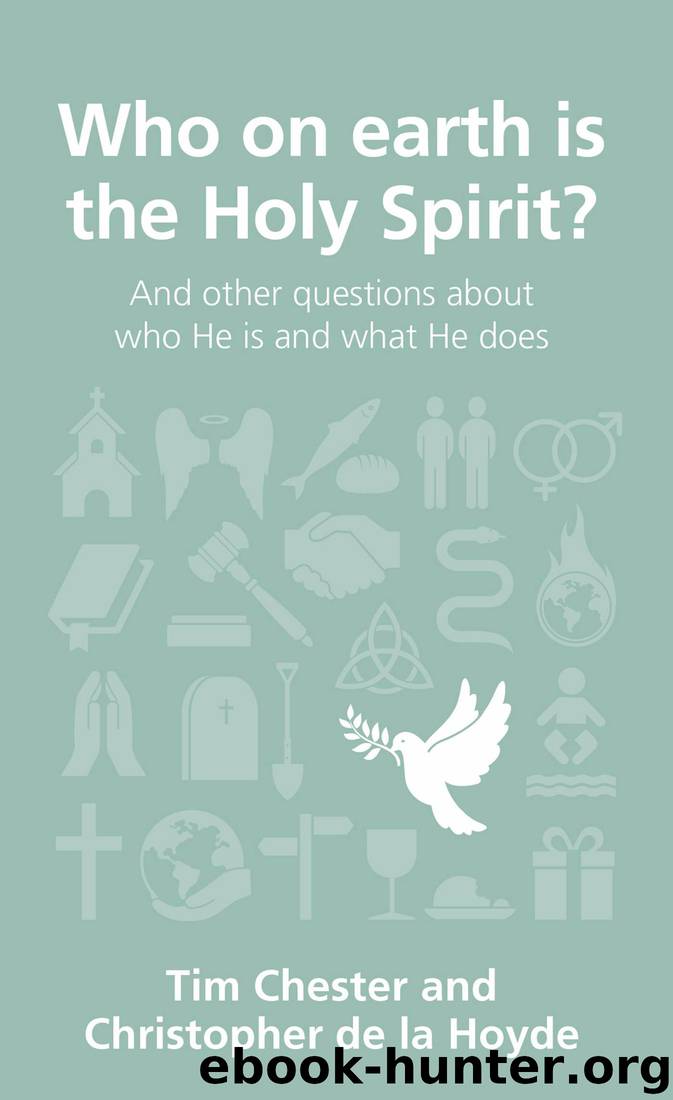 Who on Earth Is the Holy Spirit?: And Other Questions About Who He Is and What He Does by Tim Chester & Christopher de La Hoyde