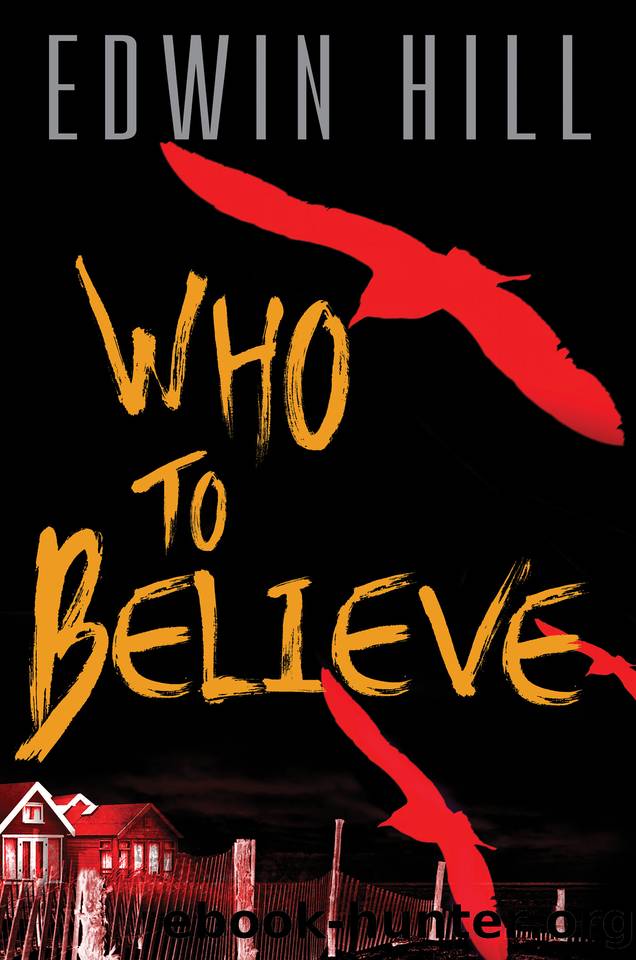 Who to Believe: A twisting domestic thriller by Edwin Hill
