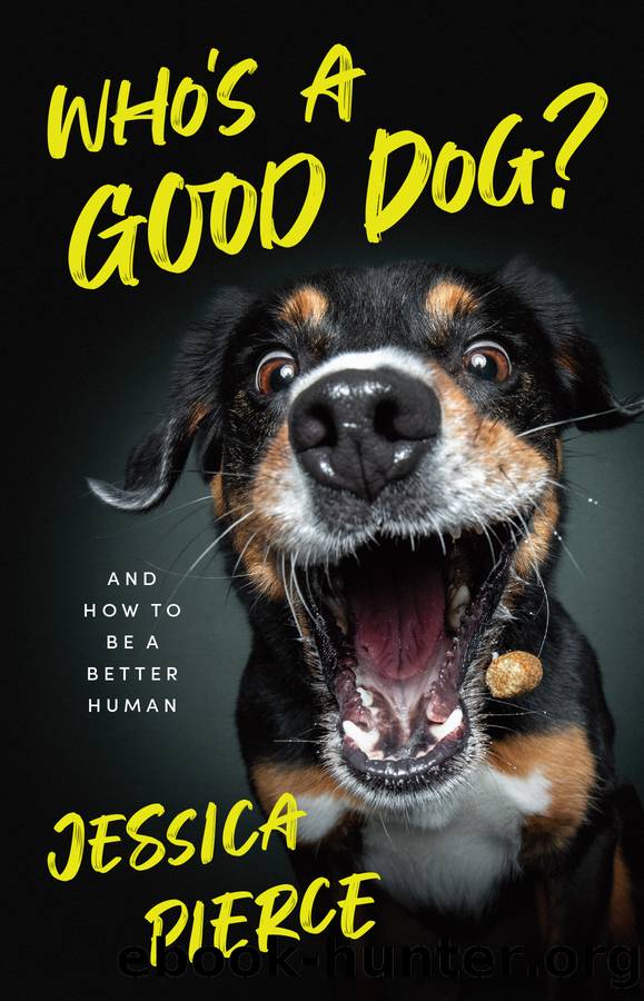 Who's a Good Dog? by Jessica Pierce;