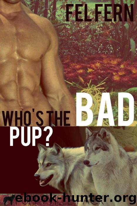 Who's the Bad Pup? (Puppyville Pack) by Fel Fern