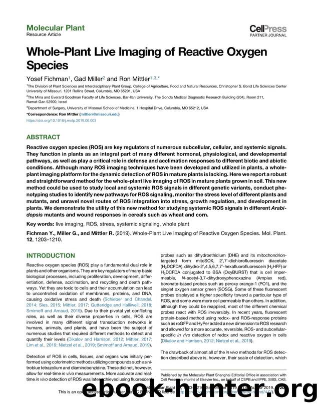 Whole-Plant Live Imaging of Reactive Oxygen Species by Yosef Fichman & Gad Miller & Ron Mittler
